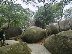 -火炉山森林公园