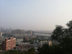 -福道