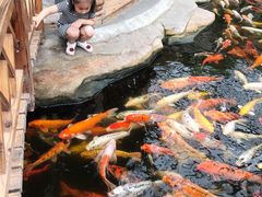 -龙达温泉生态城