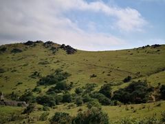 -大姆山草场