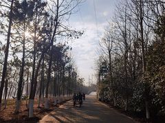 -上海海湾国家森林公园