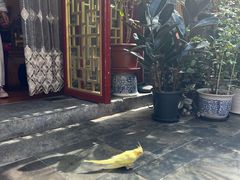 -悦真雅院·四合院·清真私房菜(雍和宫店)