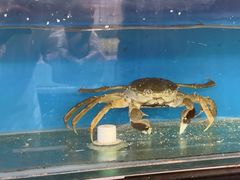 -小铜锣湾海鲜家常菜馆(河西店)