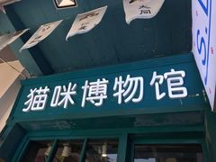-猫咪博物馆(顶澳仔猫街店)