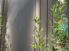 -绿茶餐厅(滨海万达广场店)