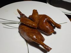 -三强鸽子(胜利路店)