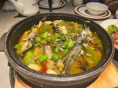 石锅闷黄骨鱼-新渝城·始于2000年(淘金店)
