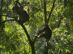 -西岭雪山大飞水景区