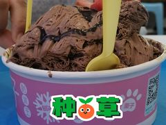 巧克力雪奶-梁子刨冰王&梁小糖(王顶堤店)