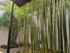 -南京市民俗博物馆(甘熙故居)