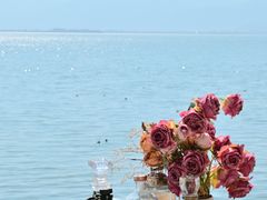 -六阅·福十 FORTEN 海景咖啡西餐厅(双廊古镇店)