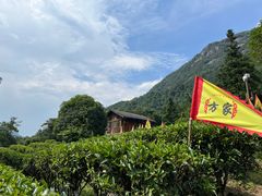 -姑婆山旅游区