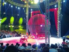 iphone_upload_pic-环球城国际大马戏