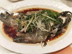 -阿一鲍鱼·20年匠心传承(天河北旗舰店)