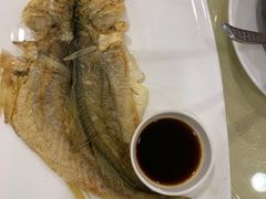 -新梅园不夜粥(龙华店)