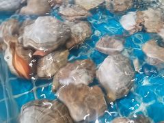 -蓝珊甄选海鲜自助·火锅大排档(近阿那亚店)