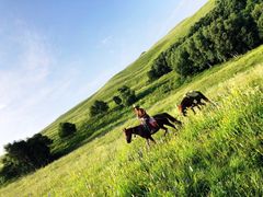 -灵山