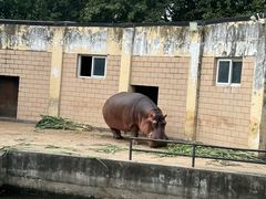 -合肥野生动物园