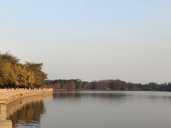 -海珠湖公园