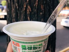 -德禄酸奶(莫家街店)