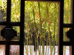 -绮园景区