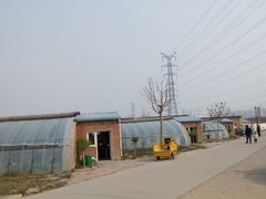 -甜心庄园·甜心草莓采摘园(西青中北店)