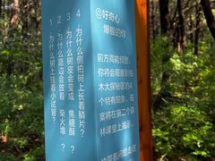 -佛慧山