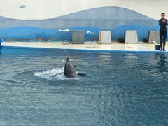 -北戴河圣蓝海洋公园