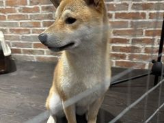 -呼吸沉浸式剧场(甘露园店)