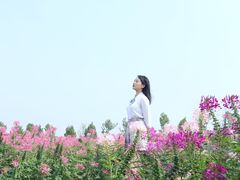 -花博汇(知音花月夜)
