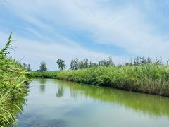 -泗洪洪泽湖湿地景区