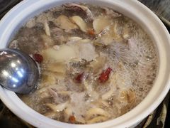 五指毛桃药膳鸽-鸽鸟轩(石岐店)