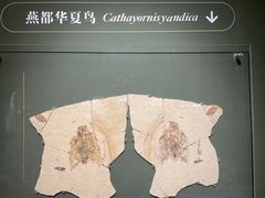 -遇见博物馆(遇见海洋沉浸式奇幻光影展)