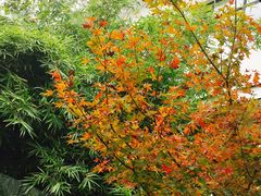 -春兰国宾馆(凤城河风景区老街店)