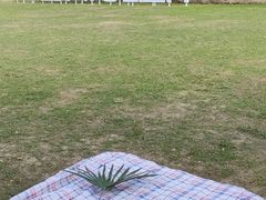 -同里国家湿地公园