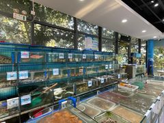 -锦里海景海鲜餐厅.三亚老字号(亚龙湾中心广场店)