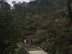 -羚羊峡古栈道森林公园