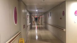 点击看大图 -福建省妇幼保健院(道山路院区)