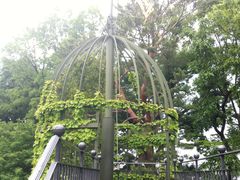 -三鹰之森吉卜力美术馆