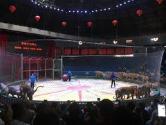 -西安秦岭野生动物园