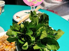 -粉灯牛腩牛杂煲·鸡煲(双井店)