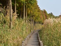 -苏州太湖湖滨国家湿地公园