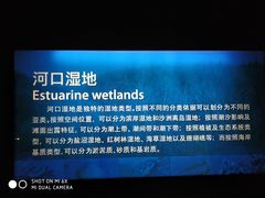 -上海长江河口科技馆