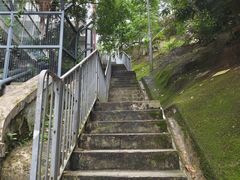 -太平山顶