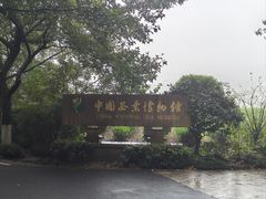 -中国茶叶博物馆(双峰馆区)