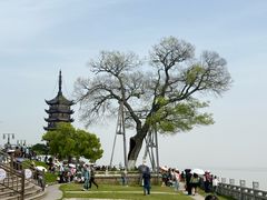 -观潮胜地公园