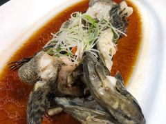 葱油老虎斑-博雅酒店-中餐厅