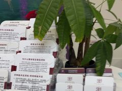 -雅悦齿科(顾村公园店)