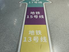 -望京西(地铁站)