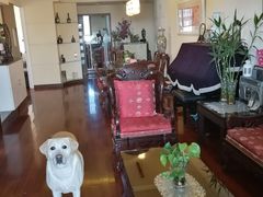 -申普宠物医院·心脏介入·心血管微创(总院)